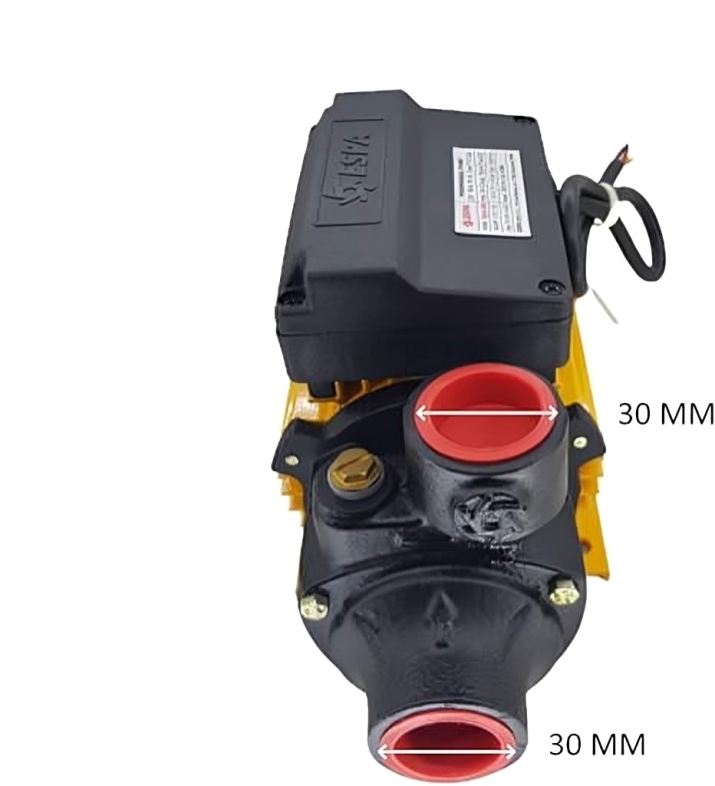 ESPA 0.5HP Sigma 50M Peripheral Water Pump