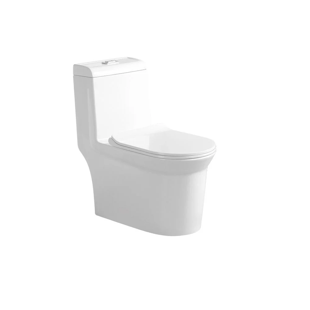 Flashgaps Wc Milano Flash 1 Pc Wc S-Trap-250Mm 6289 – Divva